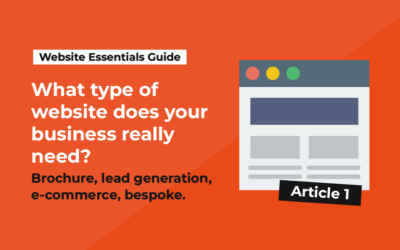 Article 1: What type of website does your business really need?
